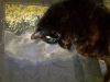 IMG_20250417_194251.thumb.jpg.ec70023ca7eb051e2dbabe18a947e15a.jpg