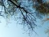 IMG_20250421_164441.thumb.jpg.5761bb0640bb99bbeb04c0cedd11bfeb.jpg