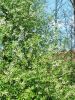 IMG_20250423_143813.thumb.jpg.fee097e84bba4aa97bdf28f844985939.jpg