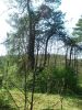 IMG_20250423_144744.thumb.jpg.c64432260e9fc2b2f5f516197be2d5b6.jpg