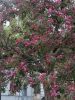 IMG_20250424_184508.thumb.jpg.f12eecee3efff7754d384a4ef5eb7c0f.jpg