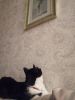 IMG_20250424_222558.thumb.jpg.e6d0c0936a9a7e08d70fc2d137248f0e.jpg