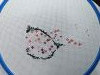IMG_20250426_010028.thumb.jpg.ac5f3c423d508de2f5349b4867b9039d.jpg?1745604282871