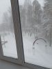 IMG_20250428_161231.jpg