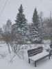 IMG_20250428_173808.jpg