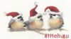 IMG_3577.thumb.jpeg.a15da8d0be99763a0a0d2b6a366767fd.jpeg