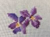 IMG_8577.thumb.JPG.d866f3cc71d0f786ec357acdbe2ec092.JPG?1745926192267