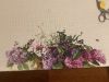 IMG_8886.jpeg