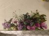 IMG_8934.jpeg