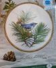 Nuthatch.thumb.jpg.fad0be28fcfb78d61095a0d4a9f85e28.jpg