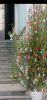 Screenshot_20250425_222530_com.android.gallery3d.thumb.jpg.02ee7b8cf78b5cd5b33345dd47d6080e.jpg