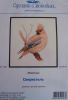 Waxwing.thumb.jpg.9d91f00223ce16d29cc3bb775529d181.jpg