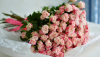 image-1.thumb.png.2c529da28dd943e3f2d58ae17460a846.png