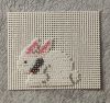 rabbit804-2.thumb.jpg.91823bf70f2e1a4e9caea7a2c929869b.jpg