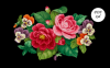 0.png.f67129fc5c02816efccee06ea2f73144.thumb.png.820750a1ef3997ad0340a2e67cb08c56.png
