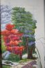 1.thumb.jpg.78adaed385275d85ccd9ab761b9e4e05.jpg
