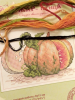 1.thumb.png.bba5d5fee9d2342ffe3a498cc6e86dca.png