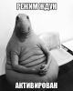 12345.thumb.jpeg.7c16eed1b4fc04366d5c895a2a1ad954.jpeg