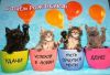 1680880804_sneg-top-p-mira-s-dnem-rozhdeniya-kartinki-vkontakte-26.thumb.jpg.6efff8d84e2c8af0bab1b6decd547994.jpg