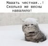 2003.thumb.jpg.7cdf98a18c3b7f77928afc9b6b0a4d96.jpg