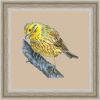 2025-05-03_20-39-22.png