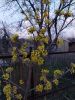 20250418_184620.thumb.jpg.a619d9f6a565872ca3db92fd91383660.jpg