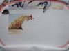 20250426_110056.thumb.jpg.7cef61705baa707518beb4cfaeb60a7c.jpg