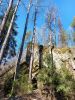 20250501_122324.thumb.jpg.7aed51ab72b58d73f177d7ca2371395e.jpg