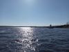 20250501_160321.thumb.jpg.29894cbfa83f80d8e0e6c3b67d2d2938.jpg