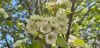 20250506_155332.thumb.jpg.56db7c1e07d54b14ccb01efe0fc4bf23.jpg