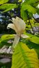 20250507_114333.thumb.jpg.6d238eb11c4efa36e5d90b0efff077c4.jpg