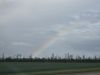 20250508_164447.thumb.jpg.9c353b1406af0d2748fb759a706def83.jpg
