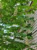 20250511_094708.thumb.jpg.67c75dd0753b4a7e95cafc088607fcd8.jpg