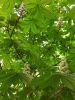 20250511_094721.thumb.jpg.bcdad303959a12c864ed4b969a1f3f93.jpg