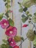 20250512_071253.thumb.jpg.b0ba79a82f40e37ccc9c2bde63e6c354.jpg