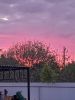 20250524_205920.thumb.jpg.84b4c32835807d27e621442073b27d29.jpg