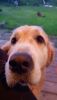 20250524_211839.thumb.jpg.7c4aaee7a29c2547181d7ea13d4c4821.jpg