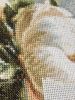 3.thumb.jpg.0b2568214447d8881916e2ce81f629d9.jpg