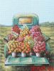 Dimensions 35440, Flowers For Sale