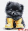 Luca-S B1420, The Little Adventurer