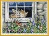 828-joy-sunday-da828-400x400.thumb.jpg.ed206bd8b38ea8556751081c48cf46f4.jpg