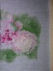 DSC07961.thumb.JPG.7dc7815e11c783958cc1bdf5a848ef7b.JPG