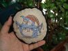 DSC09072.thumb.JPG.bf08ceacee37e1d84cc3f8ef63e45e99.JPG