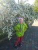 IMG-20250430-WA0061.thumb.jpg.863fcd44e64980aab17e1cad84b7043a.jpg