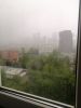IMG-20250501-WA0005.thumb.jpeg.a9a61e3bd1f8ebaafcc9338cf07d61cf.jpeg
