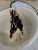 IMG-20250519-WA0002.thumb.jpg.dfa10f399aac9ca9b3bc513e5f3402c5.jpg