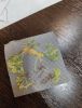 IMG20250515231402.thumb.jpg.4ee1e2f173ef2a84e6ffe377fa6c1a86.jpg