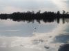 IMG_20250422_170844.thumb.jpg.bc1ef7614d17fe5086c6fe315d811aa2.jpg