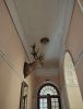 IMG_20250424_123215.thumb.jpg.ed1b75402eefc8a6055a79e9da45c4fa.jpg