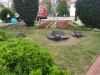 IMG_20250424_123432.thumb.jpg.9d6ca7d1eea256346dd685865b1a2845.jpg